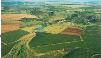 Fazenda Gloria - Santa Rita do Passa Quatro, SP