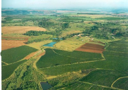 Fazenda Gloria - Santa Rita do Passa Quatro, SP