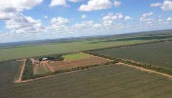 Fazenda Sao Francisco, BA