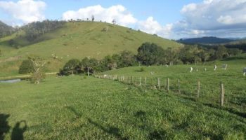 Grupo de 9 fazendas na Bahia