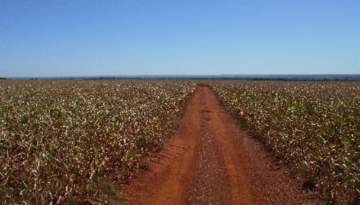 Tangara da Serra, MT