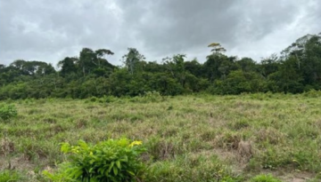 Avaliação de fazenda para projeto de venda de créditos de carbono no Pará